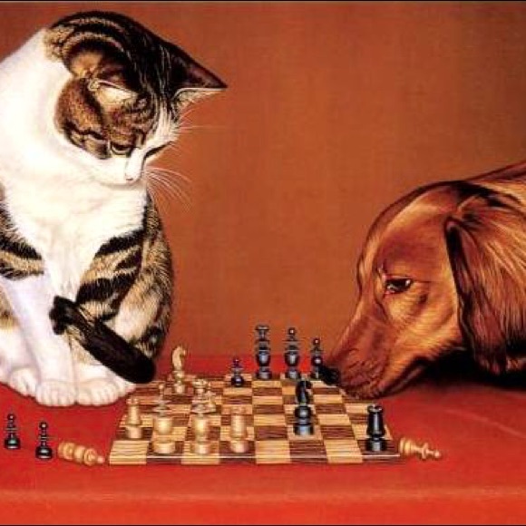 Meet Your Posher - Picture 2 of 6